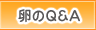 Q&A